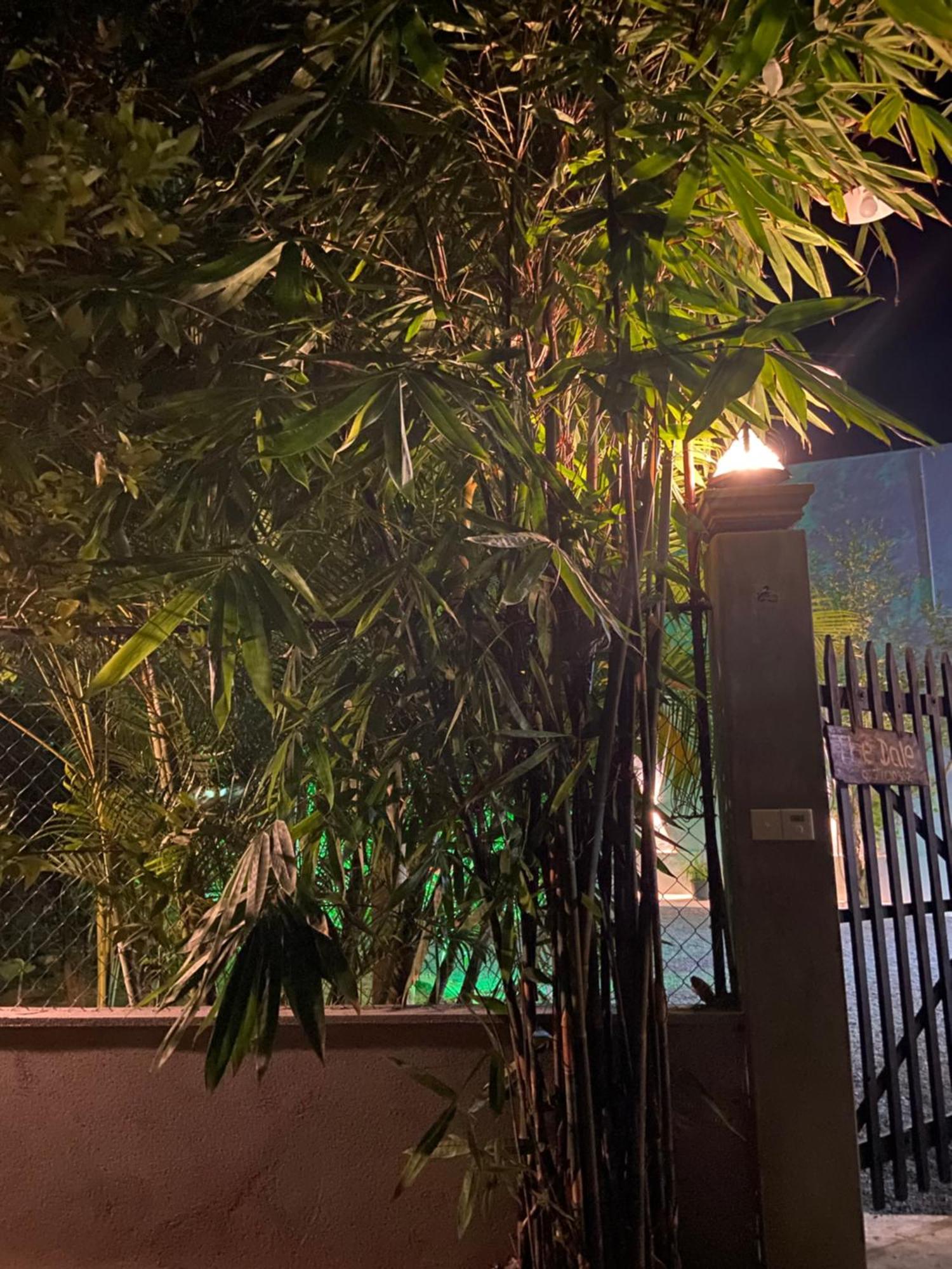 The Dale Mirissa Hotel Luaran gambar