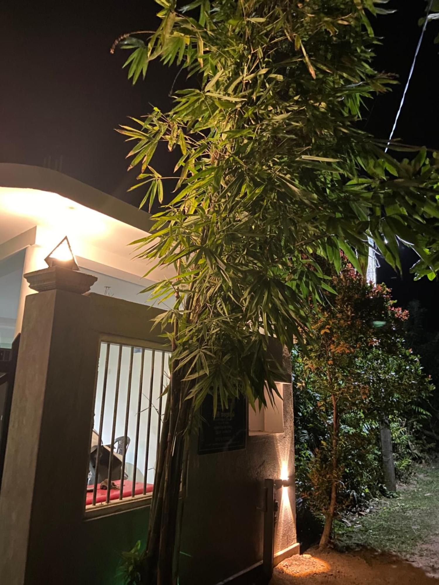 The Dale Mirissa Hotel Luaran gambar